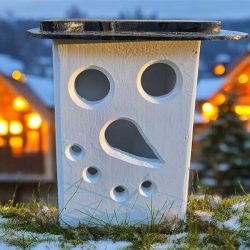 Jack Frost