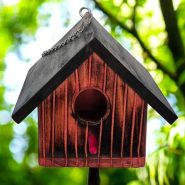 Barn House Barn House