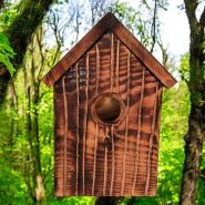 Birds House Birds House