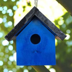Wee Blue House