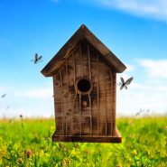 Burnt House Burnt House