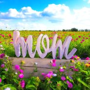 Gradient Mom Gradient Mom