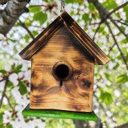 Green Floor Green Floor