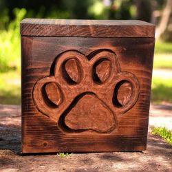 Paw Box