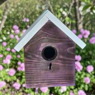 Purple House Purple House