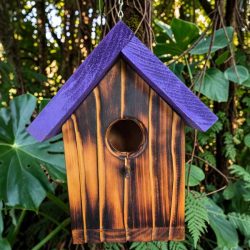Purple Roof