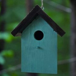 Teal House