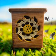 Yellow Flower Yellow Flower