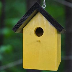Yellow House