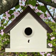 Yellow House Yellow House